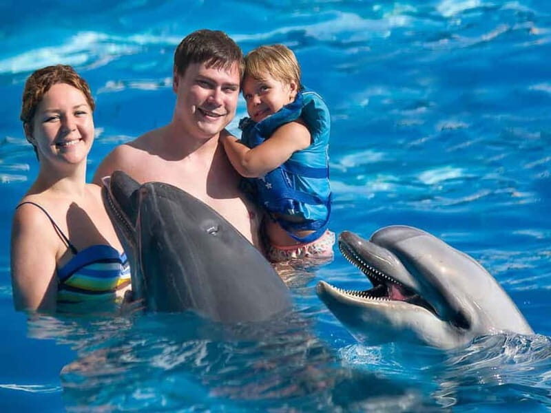 Side/Alanya: Swimming with Dolphins and Dolphin Show - Who Is This Tour Best For?