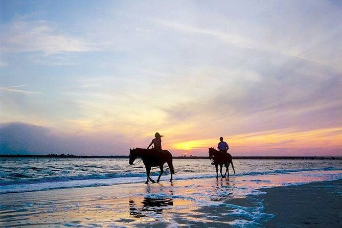 side-horse-riding-on-beach-and-through-the-forests-for-2-hours