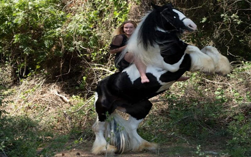 side-horse-safari-tour
