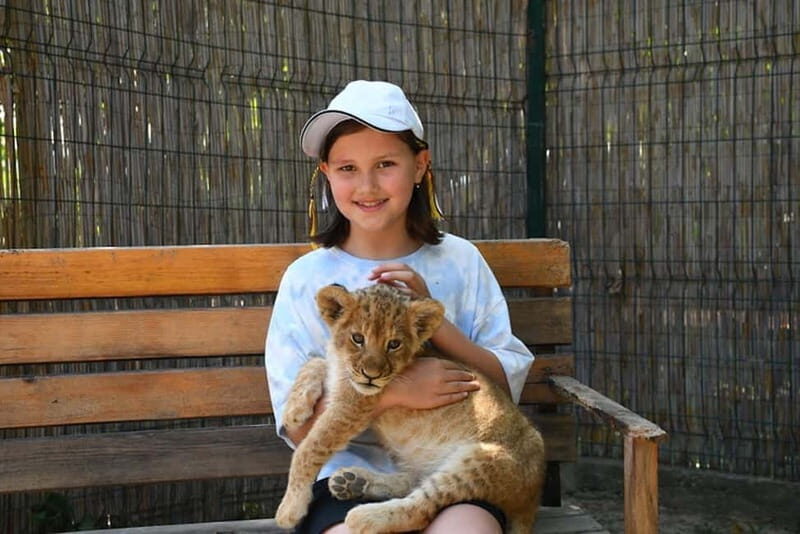 Side: Jeep Safari & Lion Safari with Lunch and Green Canyon - Final Words