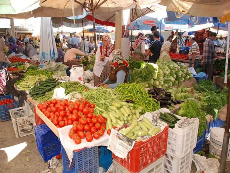 Side: Manavgat Boat, Bazaar, & Waterfall Day Trip with Lunch - Who Should Consider This Tour?