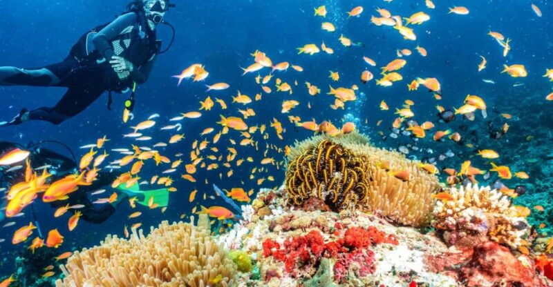side-scuba-diving-tour-journey-to-the-depths-of-the-blue