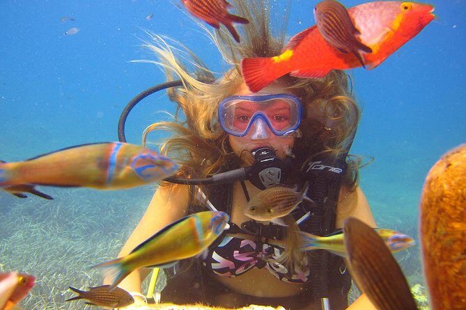 Side: Scuba Diving Under Water Museum - A Closer Look at the Tour Experience