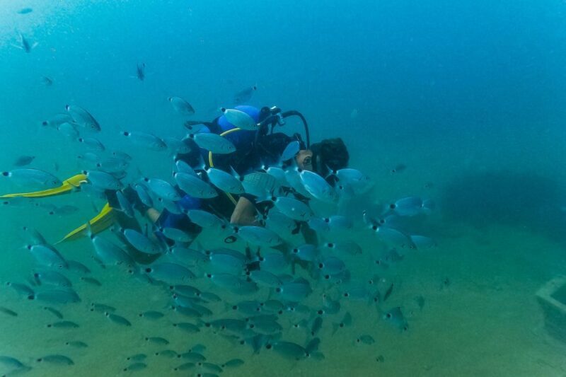 Side: Scuba Diving, Underwater Museum, 2 Dives incl. Lunch - What Makes This Tour Stand Out?