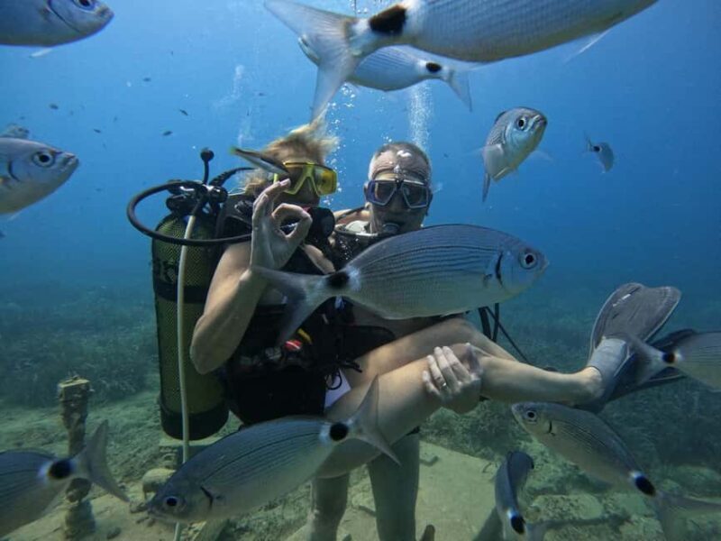Side: Scuba Diving with Expert Diving Option - Practical Details: What You Need to Know