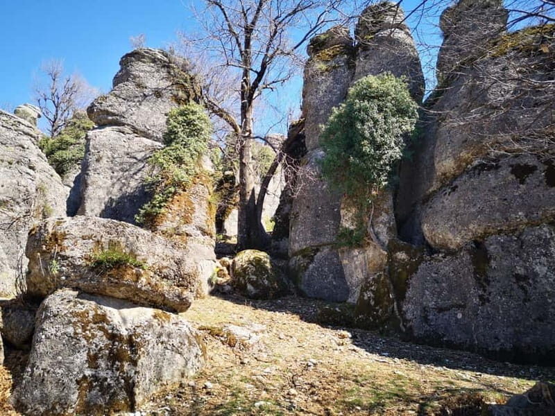SideAlanya: Jeep Safari, Tazi Canyon, and Selge Theater Tour - Exploring Taz Canyon