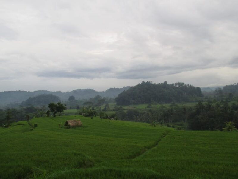 sidemen-adventures-the-scenic-rice-fields-and-village-life