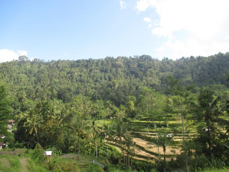 sidemen-adventures-the-scenic-rice-fields-and-village-life