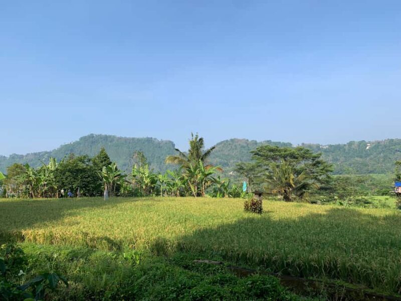 Sidemen: Learning Balinese Traditions with Youth Community - Authenticity and Unique Insights