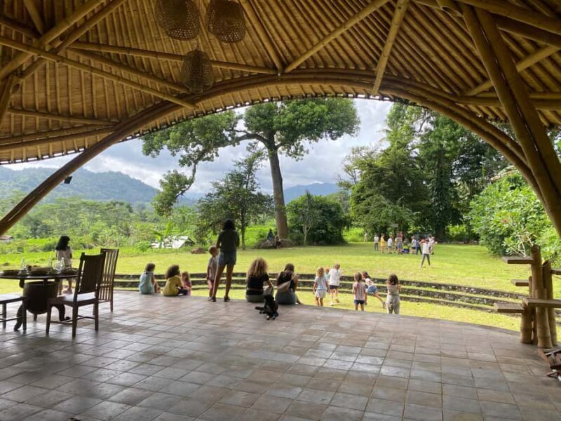 Sidemen: Rice Terraces and Hidden Waterfall - An In-Depth Look at the Sidemen Rice Terraces and Waterfall Tour