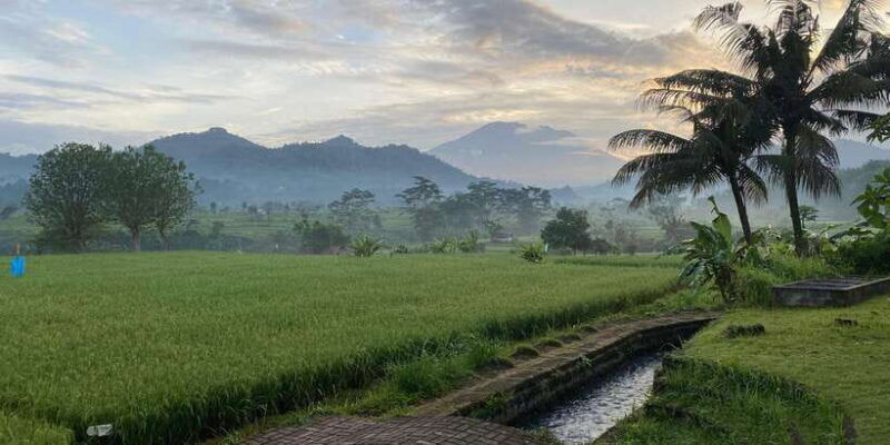 sidemen-rice-terraces-and-hidden-waterfall