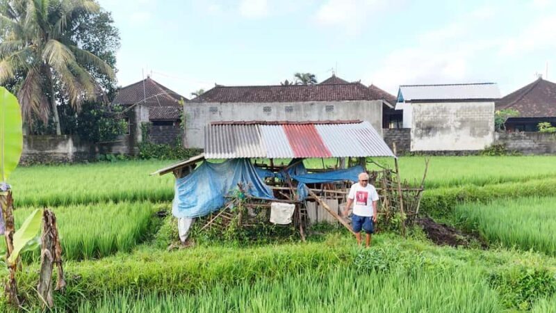 Sidemen rice terraces trek and local village walk - Key Points