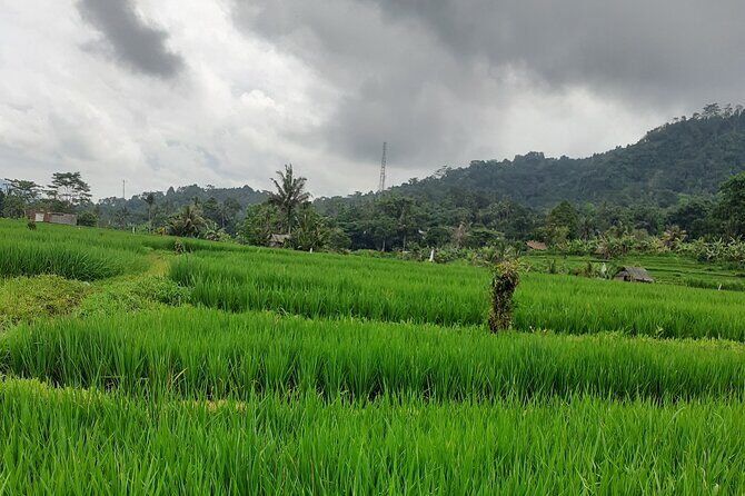 Sidemen Scooter Tours - Exploring the Authentic Bali of Sidemen