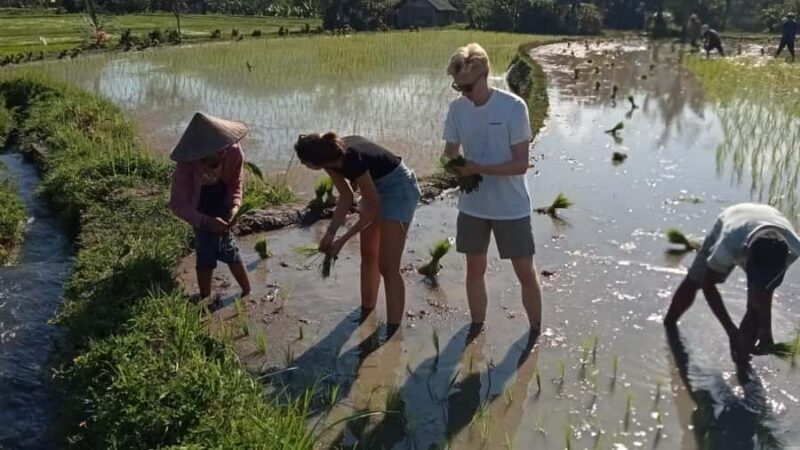 Sidemen Trekking: A Walk from a Different Perspective - The Sum Up