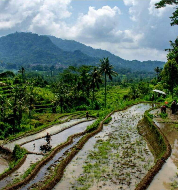 sidemen-trekking-a-walk-from-different-perspective