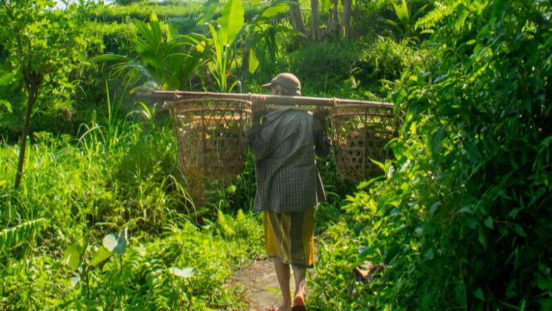 sidemen-trekking-a-walk-from-different-perspective