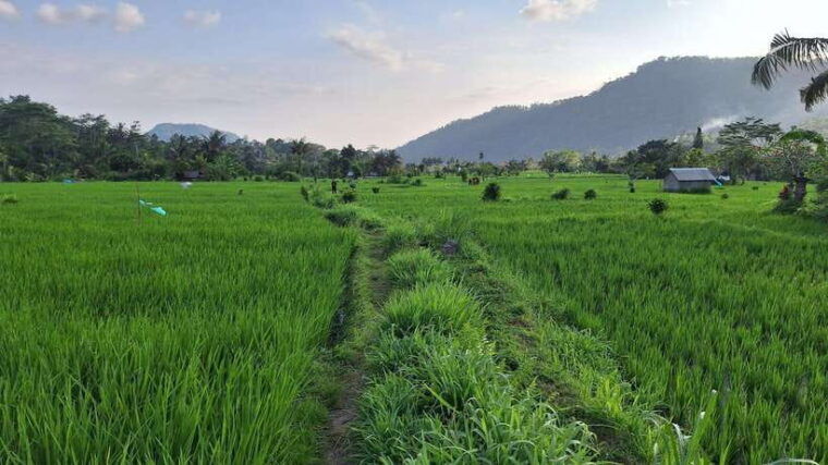 sidemen-trekking-a-walk-from-different-perspective