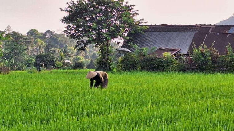 sidemen-trekking-a-walk-from-different-perspective