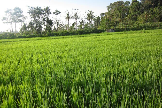 Sidemen Trekking with Cultural Encounters and Nature Views - Who Should Consider This Tour?