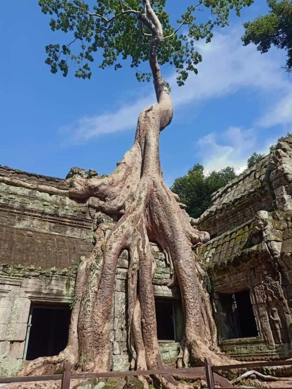 Siem Reap: 2-Day Angkor Wat and Countryside Temples Tour - Day 1: Discovering the World’s Largest Religious Monument and Jungle Temples