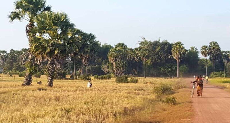 siem-reap-3-hour-ancient-trails-motorbike-tour