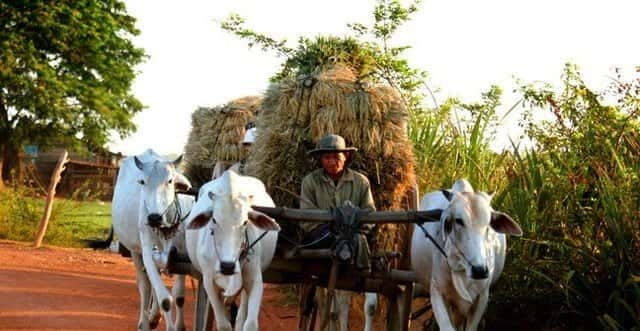 siem-reap-3-hour-ancient-trails-motorbike-tour
