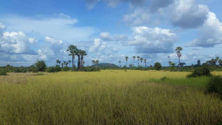 siem-reap-3-hour-ancient-trails-motorbike-tour