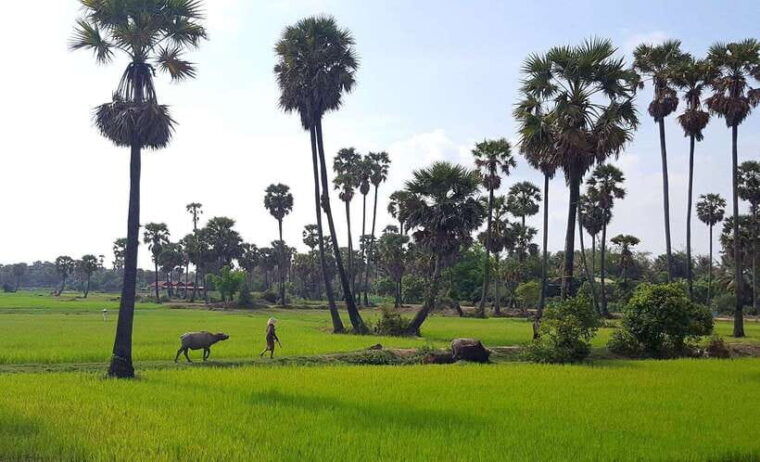 siem-reap-3-hour-ancient-trails-motorbike-tour