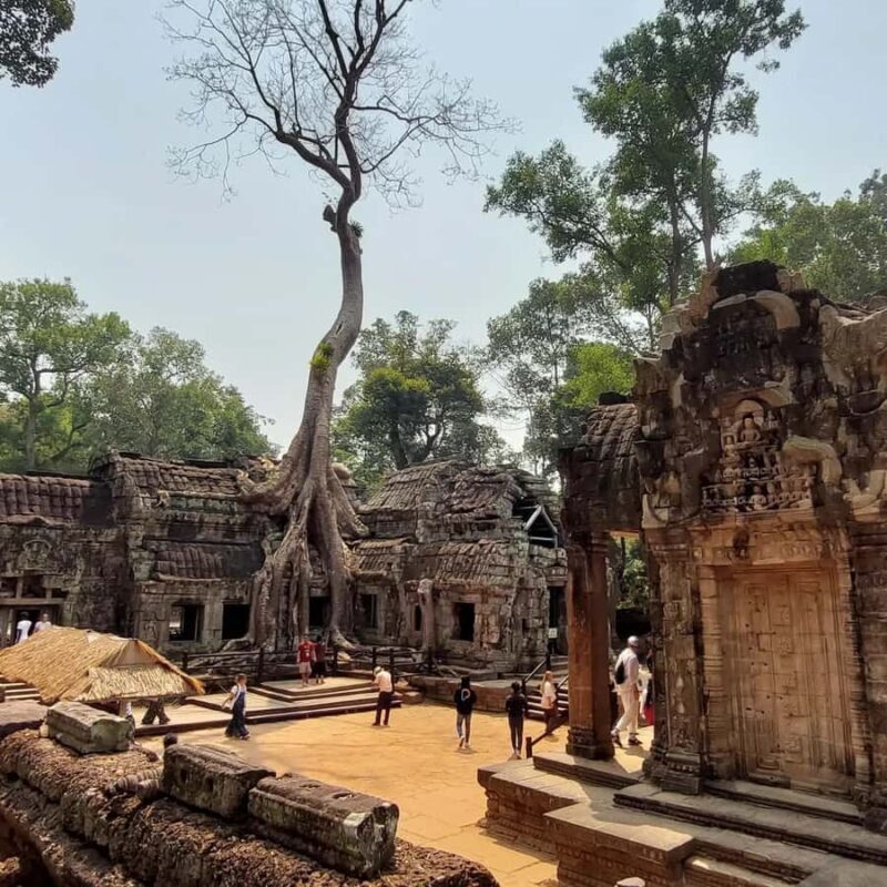 Siem Reap: 3 Top Angkor Wat, Ta Prohm & Bayon Afternoon Tour - Frequently Asked Questions