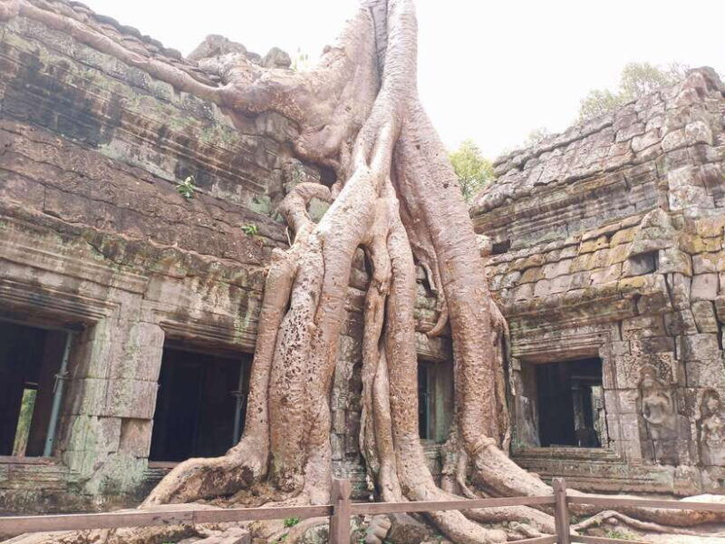 siem-reap-4-hour-ta-prohm-and-banteay-kdei-guided-tour