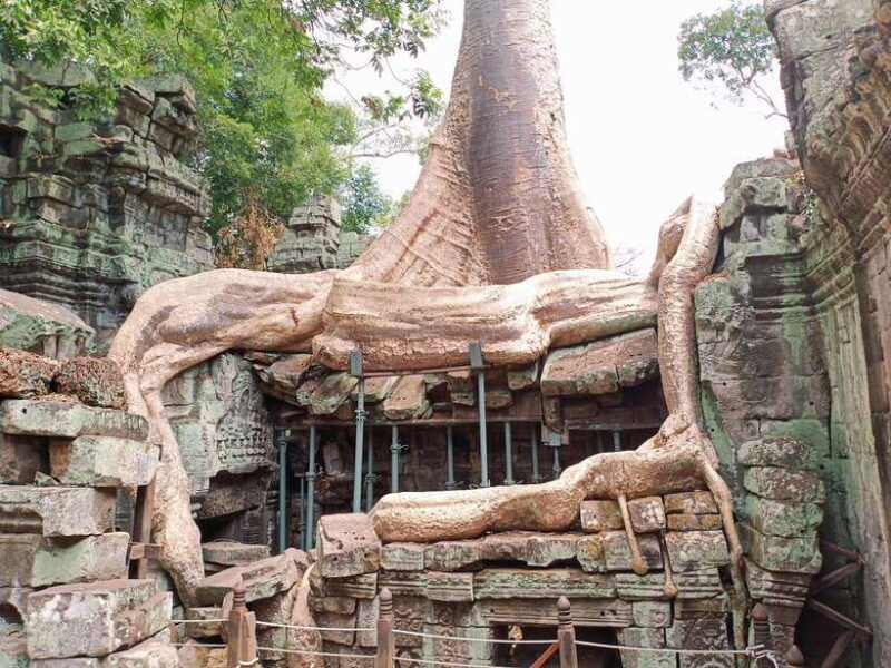 siem-reap-4-hour-ta-prohm-and-banteay-kdei-guided-tour