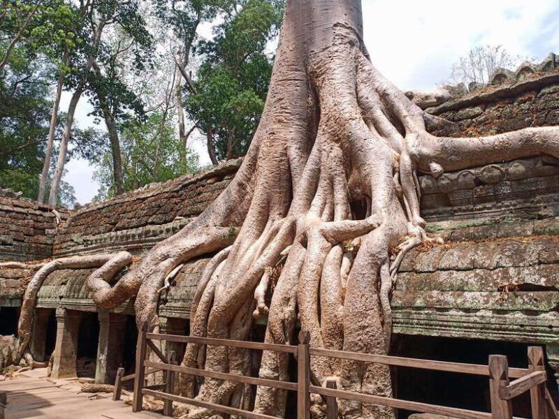 siem-reap-4-hour-ta-prohm-and-banteay-kdei-guided-tour