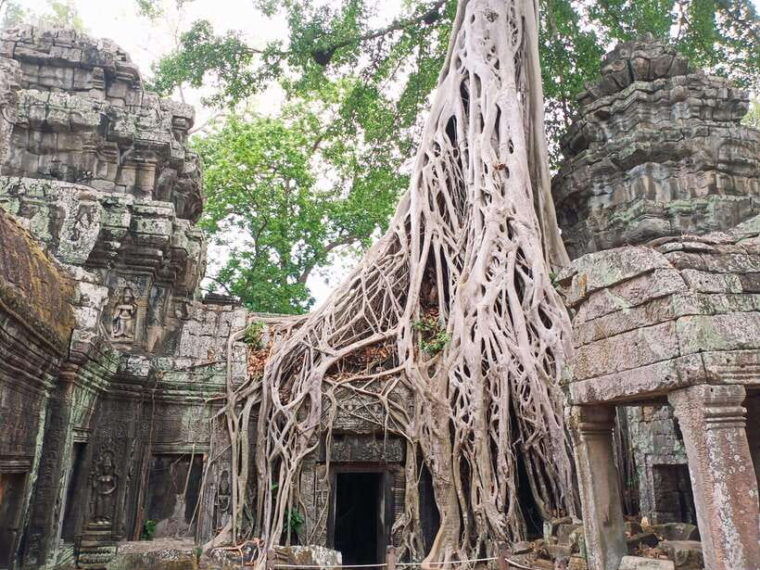 siem-reap-4-hour-ta-prohm-and-banteay-kdei-guided-tour
