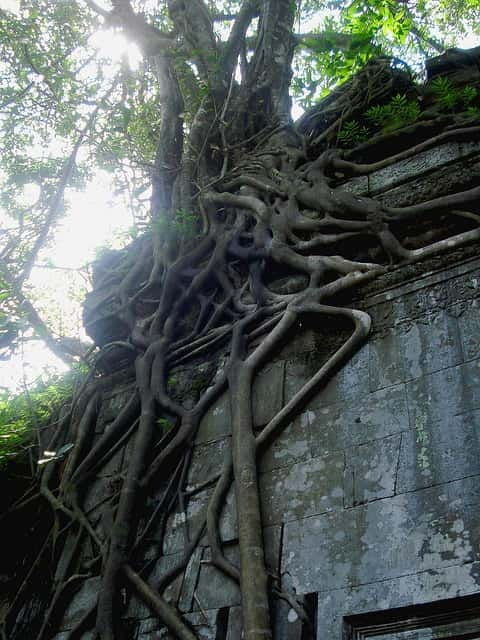 siem-reap-8-hour-forgotten-treasures-motorbike-tour