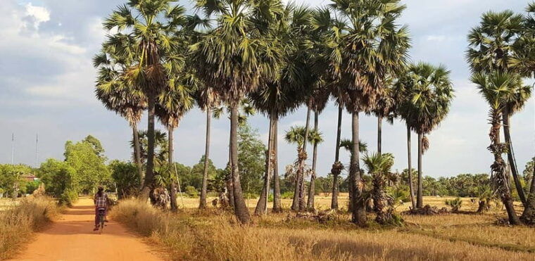 siem-reap-8-hour-forgotten-treasures-motorbike-tour