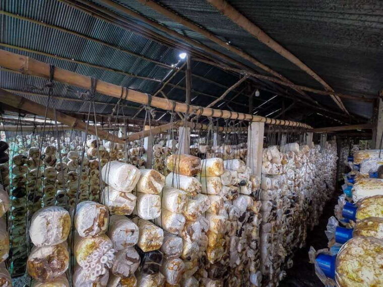 siem-reap-afternoon-cooking-class-village-tour