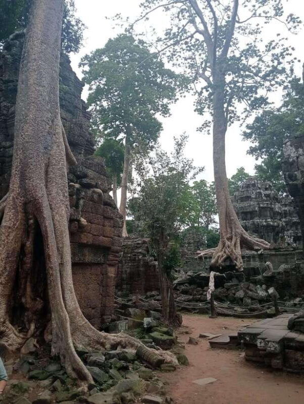 siem-reap-angkor-1-day-group-tour-with-italian-guide