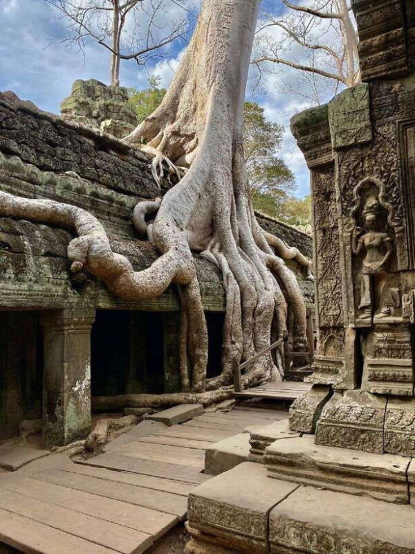 siem-reap-angkor-1-day-tour-with-french-speaking-guide