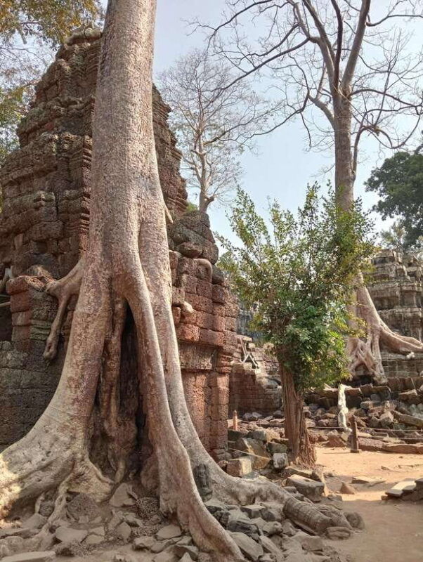 siem-reap-angkor-full-day-group-tour-with-japanese-guide