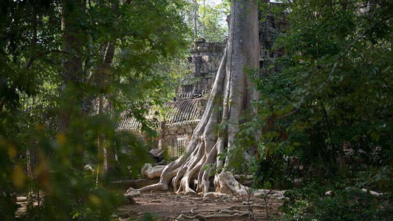 siem-reap-angkor-temples-off-track-bicycle-tour