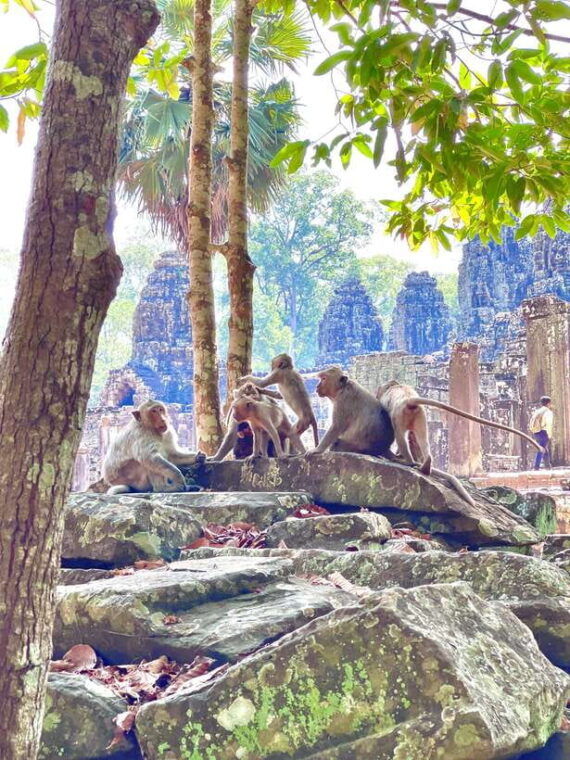 siem-reap-angkor-wat-private-full-day-tour