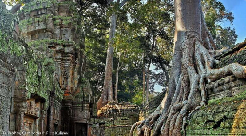 siem-reap-angkor-wat-small-group-sunrise-tour-2