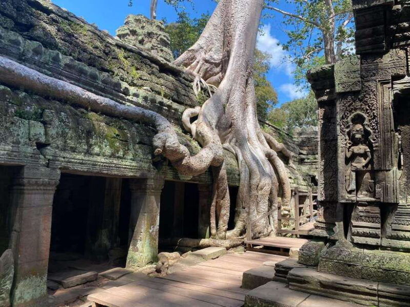 siem-reap-angkor-wat-sunrise-and-full-day-sightseeing-tour