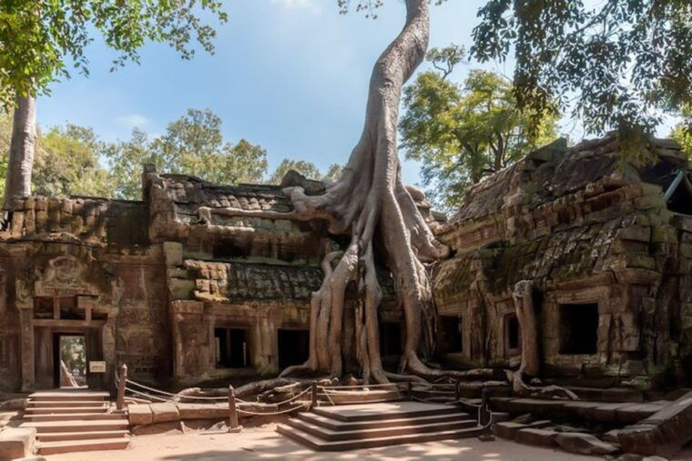 siem-reap-angkor-wat-sunrise-and-full-day-sightseeing-tour