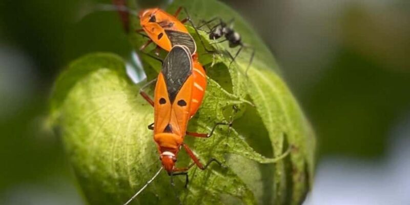 Siem Reap: Angkor Wat Sunrise Private Tour & Photos - Why Choose This Tour?