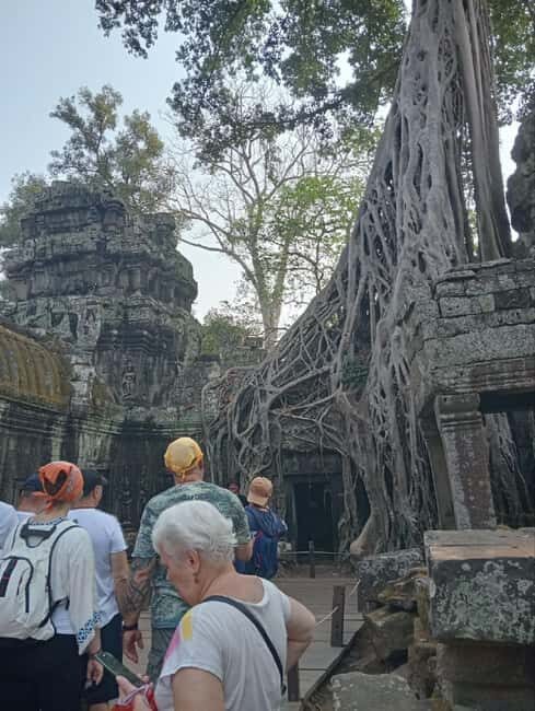 Siem Reap: Angkor Wat Tour with Italian-Speaking Guide - Who This Tour Is Perfect For