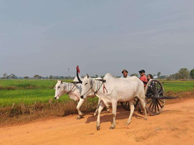 siem-reap-authentic-village-tour-with-ox-cart-ride