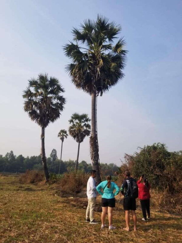 siem-reap-authentic-village-tour-with-ox-cart-ride