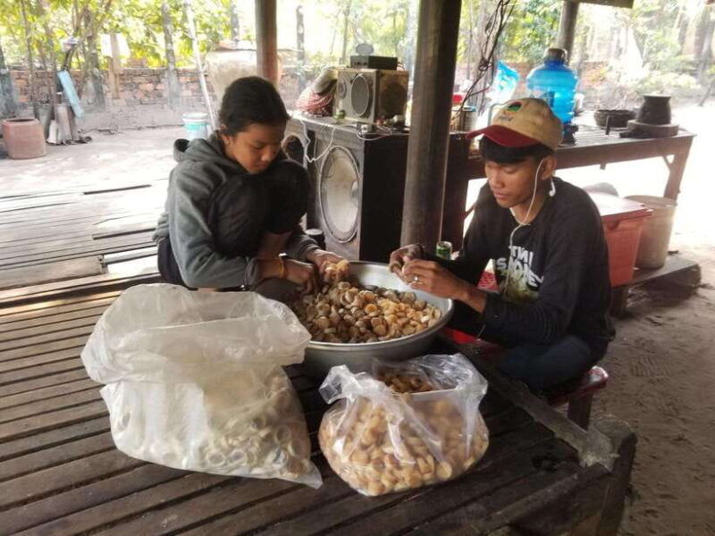 siem-reap-authentic-village-tour-with-ox-cart-ride