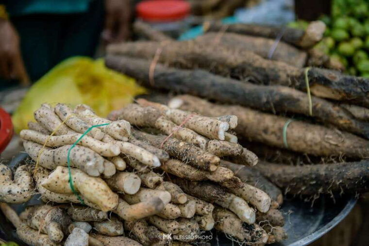siem-reap-authentic-village-tour-with-ox-cart-ride